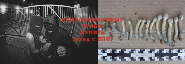 бошки Заводоуковск