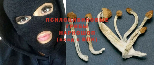 бошки Заводоуковск